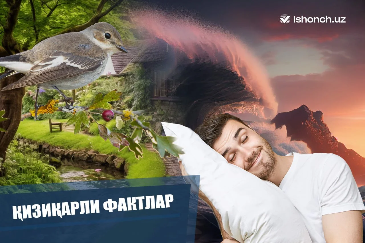Қизиқарли фактлар: Одам бир вақтда ҳам хуррак отиб, ҳам туш кўра олмайди
